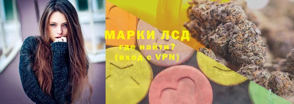 шишки Гусев