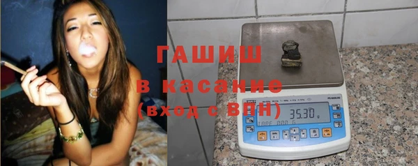 шишки Гусев