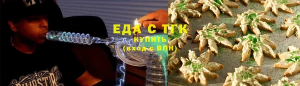 шишки Гусев