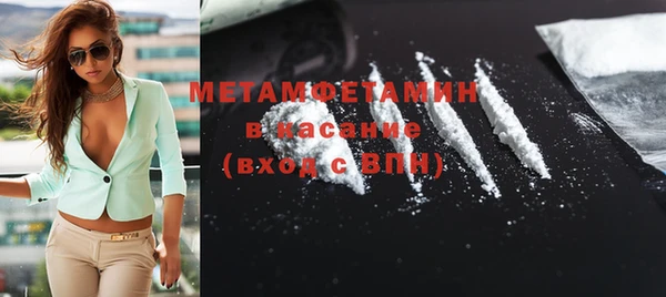 шишки Гусев