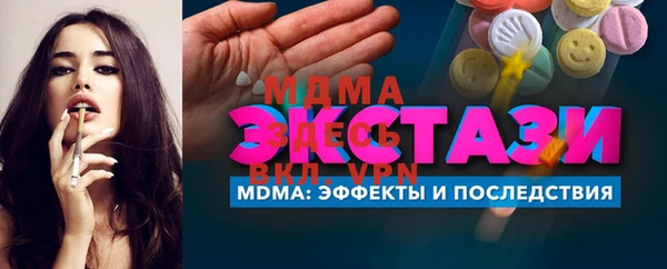 шишки Гусев