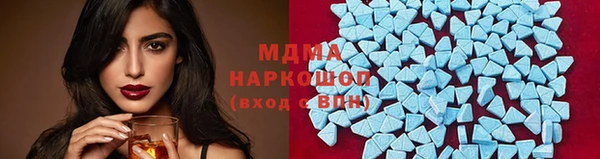 шишки Гусев