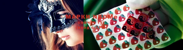 шишки Гусев