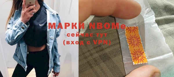 шишки Гусев