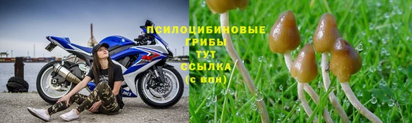 шишки Гусев