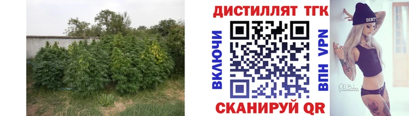 Дистиллят ТГК гашишное масло  Купить закладки  Сураж 