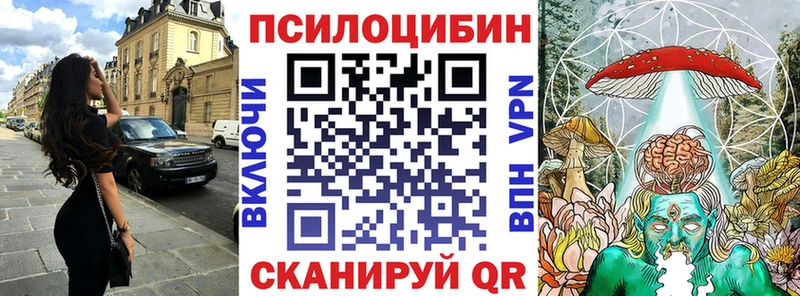 Галлюциногенные грибы Psilocybe  Купить закладки  Сураж 